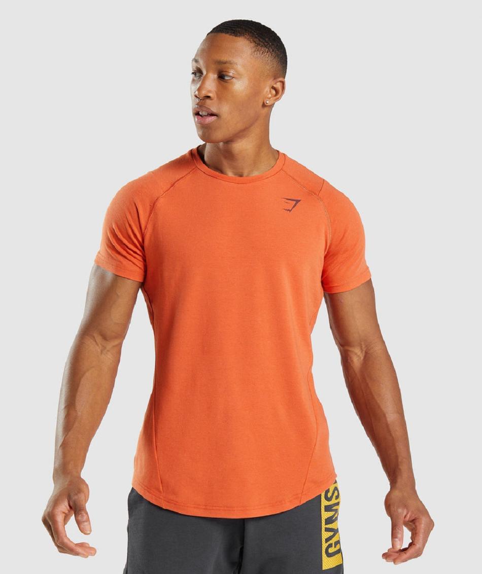 Gymshark Bold Muške T Shirts Narančaste | HR 2417FDN